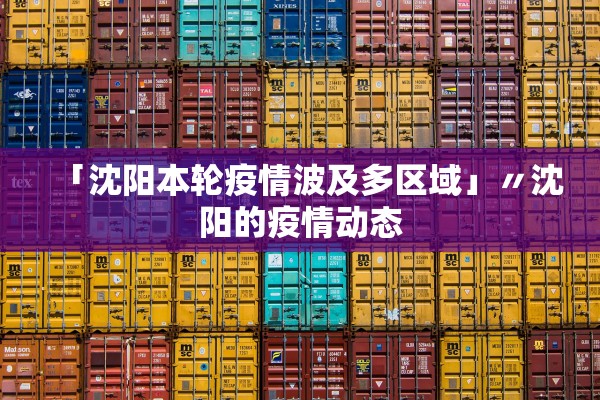 「沈阳本轮疫情波及多区域」〃沈阳的疫情动态