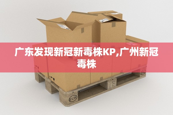 广东发现新冠新毒株KP,广州新冠毒株