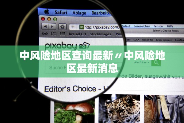 中风险地区查询最新〃中风险地区最新消息