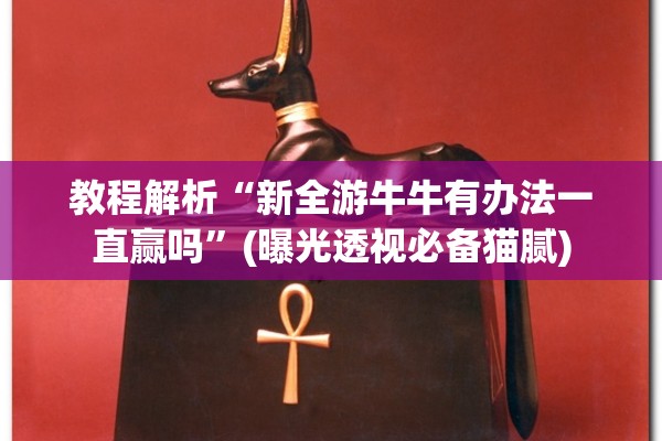 教程解析“新全游牛牛有办法一直赢吗”(曝光透视必备猫腻)