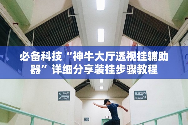 必备科技“神牛大厅透视挂辅助器”详细分享装挂步骤教程