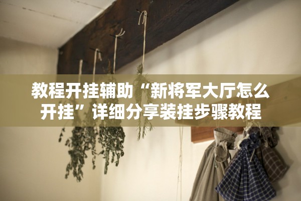 教程开挂辅助“新将军大厅怎么开挂”详细分享装挂步骤教程