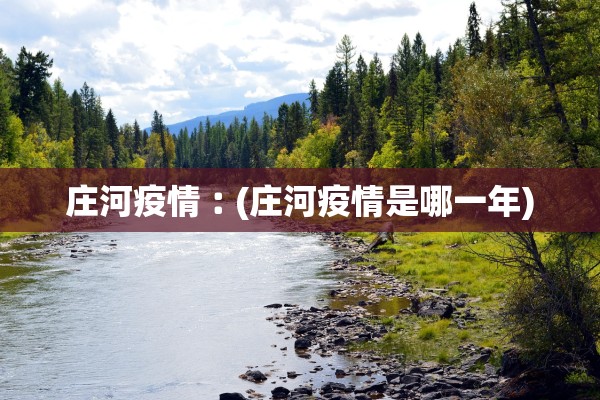 庄河疫情︰(庄河疫情是哪一年)