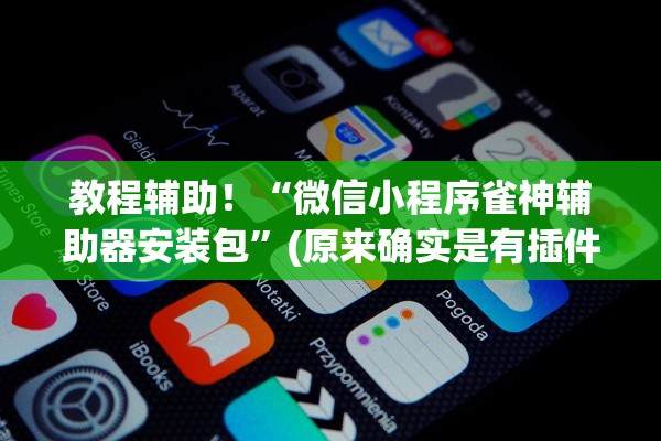 教程辅助！“微信小程序雀神辅助器安装包	”(原来确实是有插件)