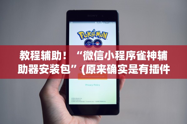 教程辅助！“微信小程序雀神辅助器安装包”(原来确实是有插件)