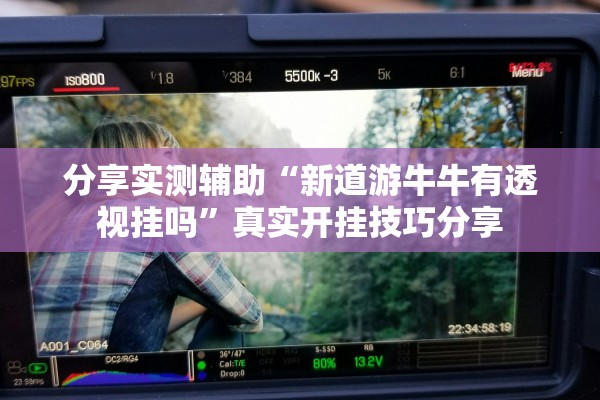 分享实测辅助“新道游牛牛有透视挂吗”真实开挂技巧分享