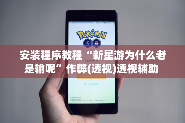 安装程序教程“新星游为什么老是输呢	”作弊(透视)透视辅助 