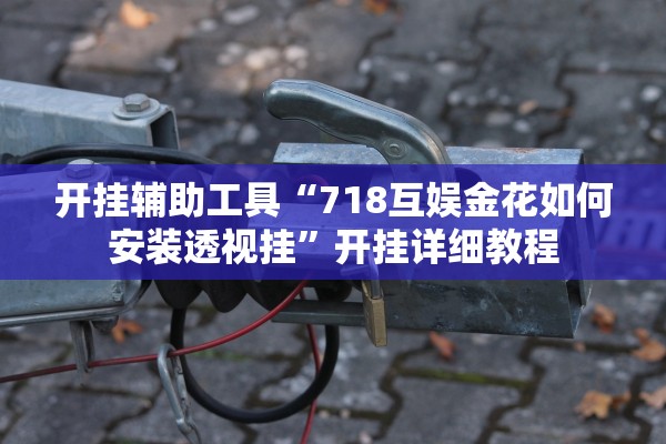 开挂辅助工具“718互娱金花如何安装透视挂	”开挂详细教程