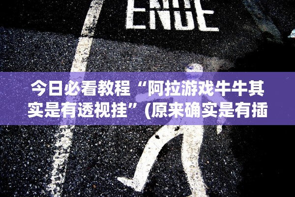 今日必看教程“阿拉游戏牛牛其实是有透视挂”(原来确实是有插件) 