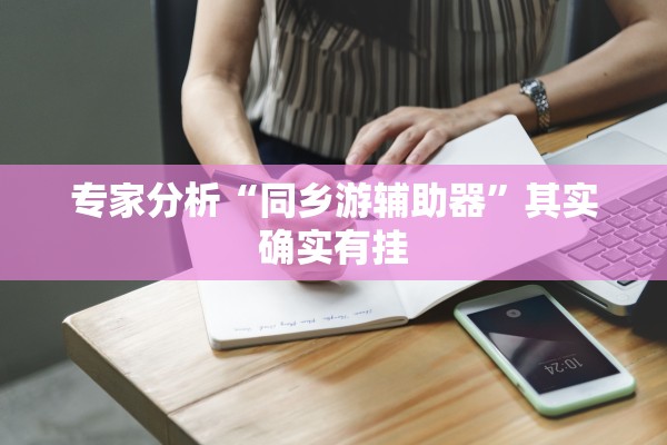 专家分析“同乡游辅助器”其实确实有挂