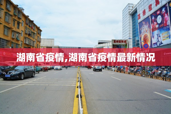 湖南省疫情,湖南省疫情最新情况