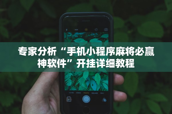 专家分析“手机小程序麻将必赢神软件”开挂详细教程