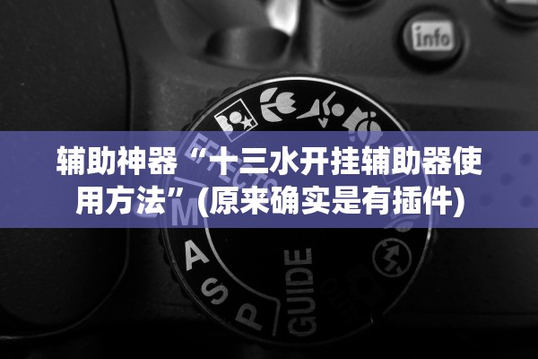 辅助神器“十三水开挂辅助器使用方法”(原来确实是有插件)