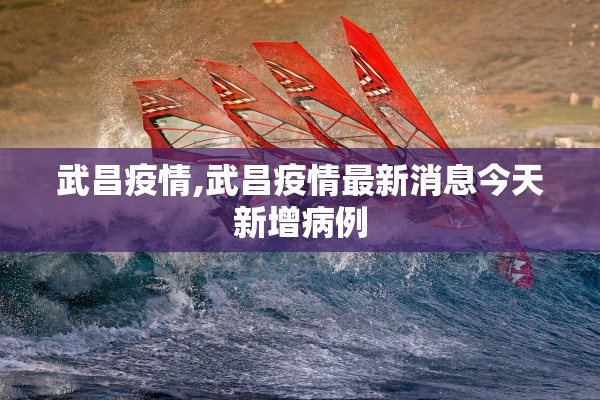 武昌疫情,武昌疫情最新消息今天新增病例