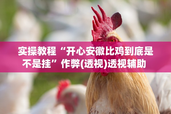 实操教程“开心安徽比鸡到底是不是挂	”作弊(透视)透视辅助 