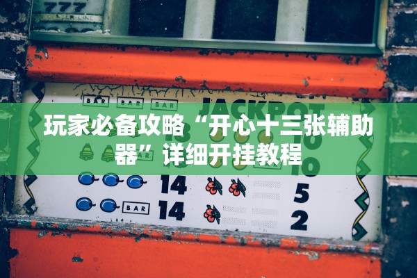 玩家必备攻略“开心十三张辅助器”详细开挂教程