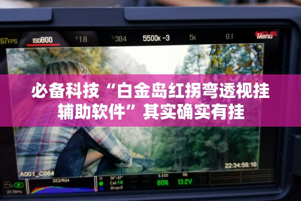 必备科技“白金岛红拐弯透视挂辅助软件	”其实确实有挂