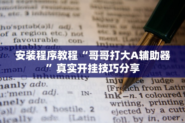 安装程序教程“哥哥打大A辅助器”真实开挂技巧分享