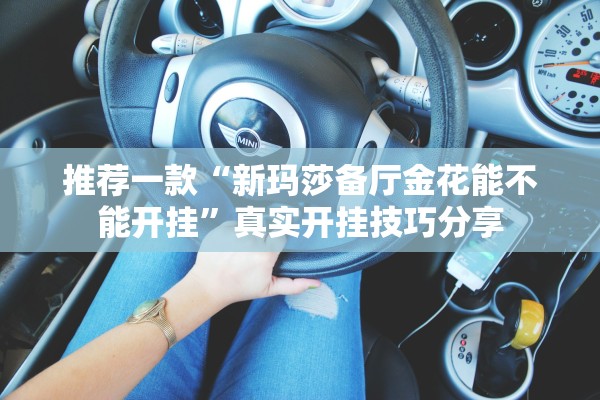 推荐一款“新玛莎备厅金花能不能开挂”真实开挂技巧分享