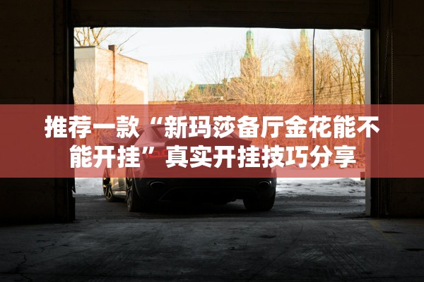 推荐一款“新玛莎备厅金花能不能开挂”真实开挂技巧分享