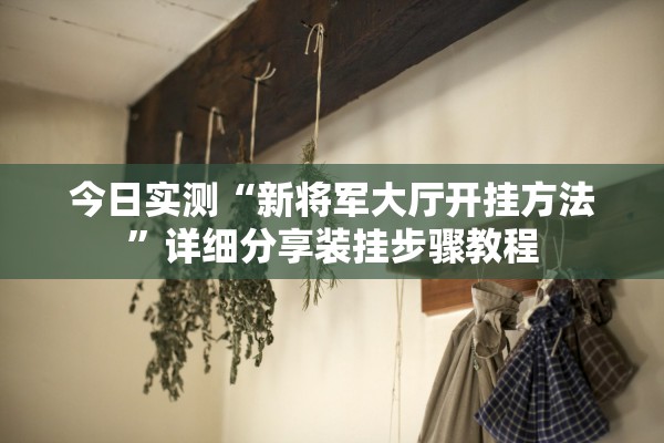 今日实测“新将军大厅开挂方法”详细分享装挂步骤教程