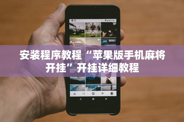 安装程序教程“苹果版手机麻将开挂	”开挂详细教程