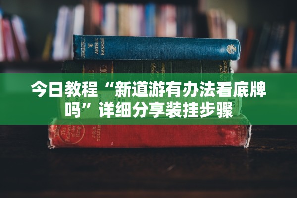 今日教程“新道游有办法看底牌吗	”详细分享装挂步骤
