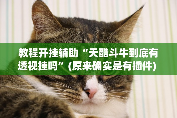 教程开挂辅助“天酷斗牛到底有透视挂吗	”(原来确实是有插件) 