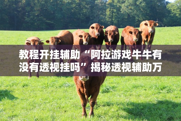 教程开挂辅助“阿拉游戏牛牛有没有透视挂吗”揭秘透视辅助万能挂用法