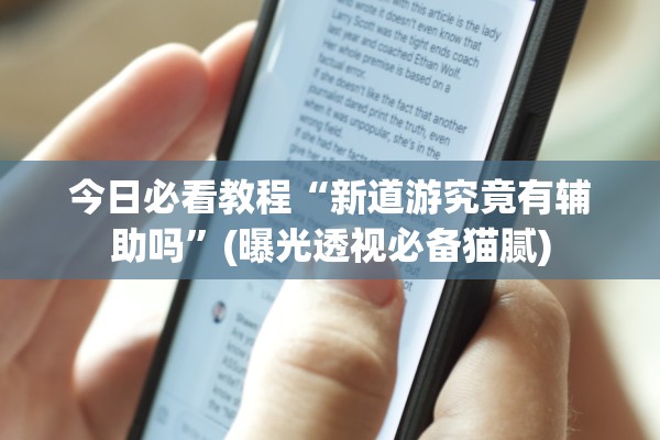 今日必看教程“新道游究竟有辅助吗”(曝光透视必备猫腻)