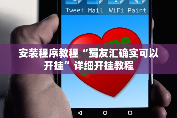 安装程序教程“蜀友汇确实可以开挂	”详细开挂教程