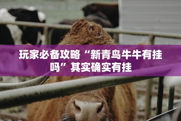 玩家必备攻略“新青鸟牛牛有挂吗”其实确实有挂