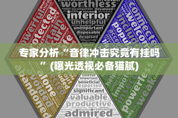 专家分析“音律冲击究竟有挂吗”(曝光透视必备猫腻)