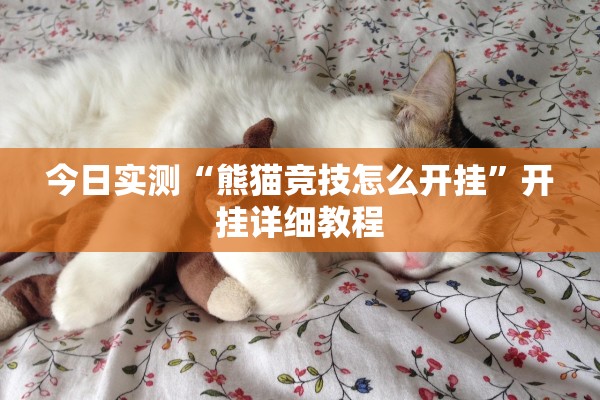 今日实测“熊猫竞技怎么开挂”开挂详细教程