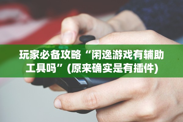 玩家必备攻略“闲逸游戏有辅助工具吗	”(原来确实是有插件)