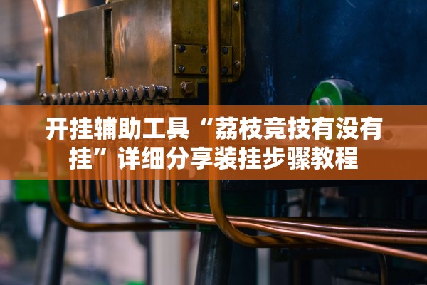 开挂辅助工具“荔枝竞技有没有挂”详细分享装挂步骤教程