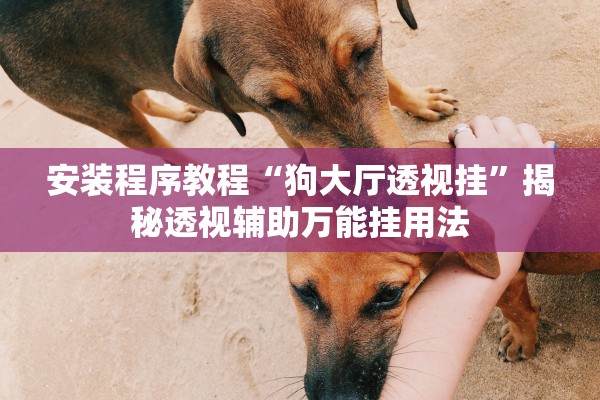 安装程序教程“狗大厅透视挂”揭秘透视辅助万能挂用法