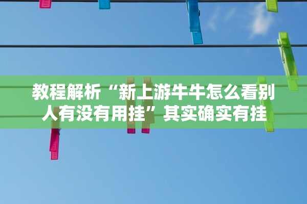 教程解析“新上游牛牛怎么看别人有没有用挂”其实确实有挂