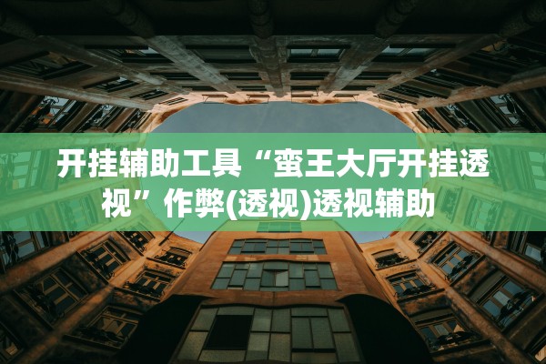 开挂辅助工具“蛮王大厅开挂透视”作弊(透视)透视辅助 