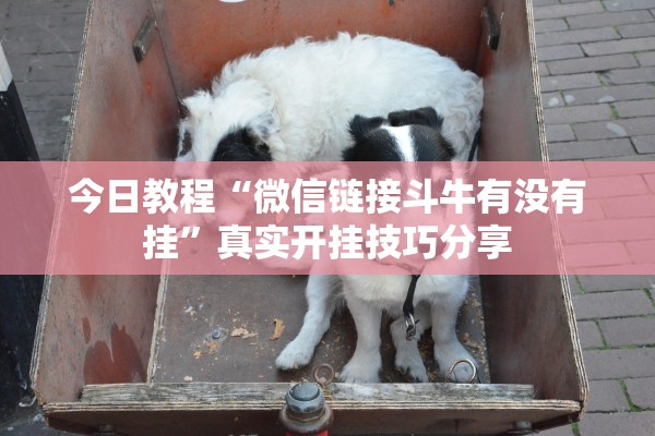 今日教程“微信链接斗牛有没有挂”真实开挂技巧分享