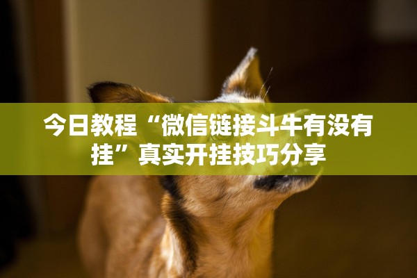 今日教程“微信链接斗牛有没有挂”真实开挂技巧分享