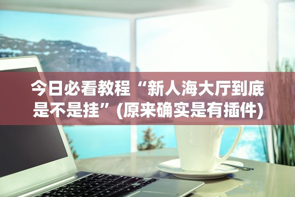 今日必看教程“新人海大厅到底是不是挂	”(原来确实是有插件)