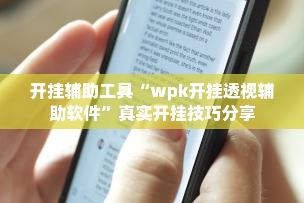 开挂辅助工具“wpk开挂透视辅助软件”真实开挂技巧分享