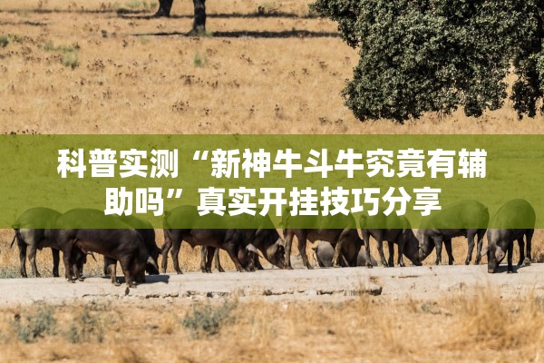科普实测“新神牛斗牛究竟有辅助吗”真实开挂技巧分享