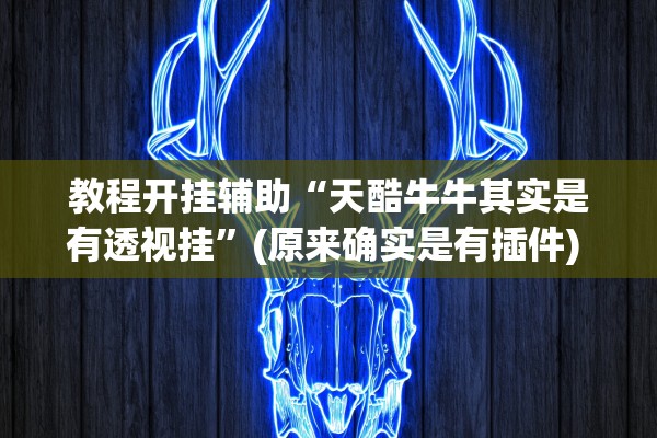 教程开挂辅助“天酷牛牛其实是有透视挂”(原来确实是有插件) 