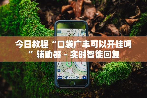 今日教程“口袋广丰可以开挂吗”辅助器 – 实时智能回复