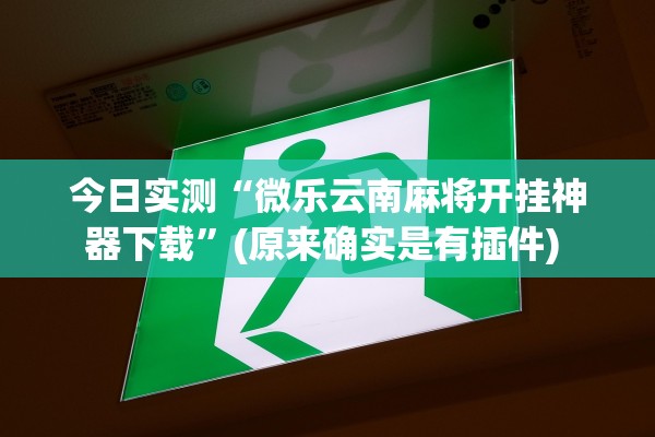 今日实测“微乐云南麻将开挂神器下载	”(原来确实是有插件) 