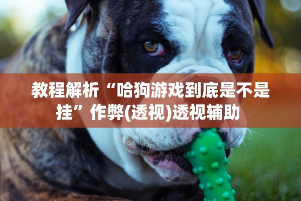 教程解析“哈狗游戏到底是不是挂	”作弊(透视)透视辅助 