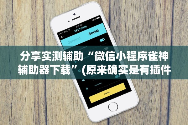 分享实测辅助“微信小程序雀神辅助器下载	”(原来确实是有插件)