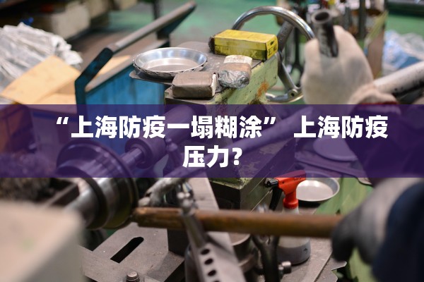 “上海防疫一塌糊涂” 上海防疫压力？